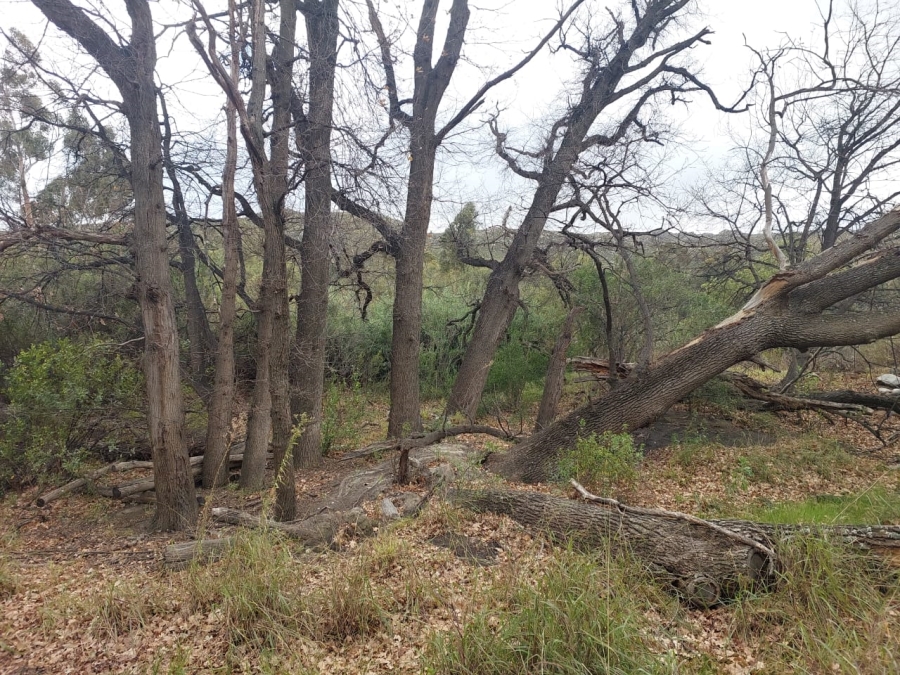 7 Bedroom Property for Sale in Ladismith Rural Western Cape